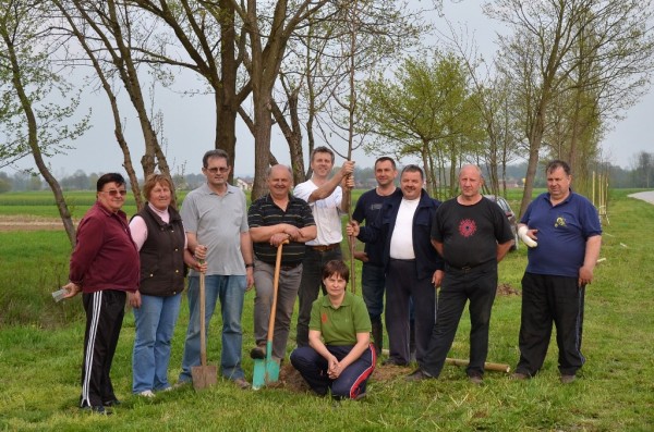 Čebelarji pri Žižkih postavili drevored lip